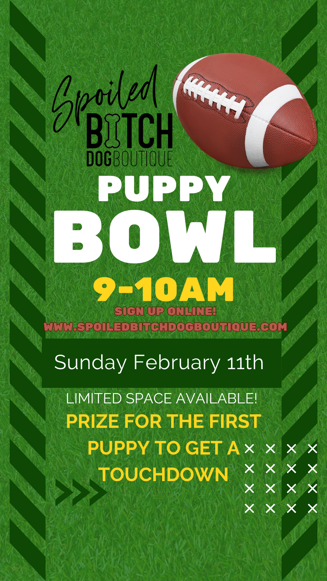 Puppy Bowl 2024