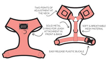 Load image into Gallery viewer, Neon Red Harness
