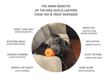 Load image into Gallery viewer, Jack O&#39; Lantern Treat Dispenser
