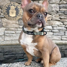 Load image into Gallery viewer, West Point Collar
