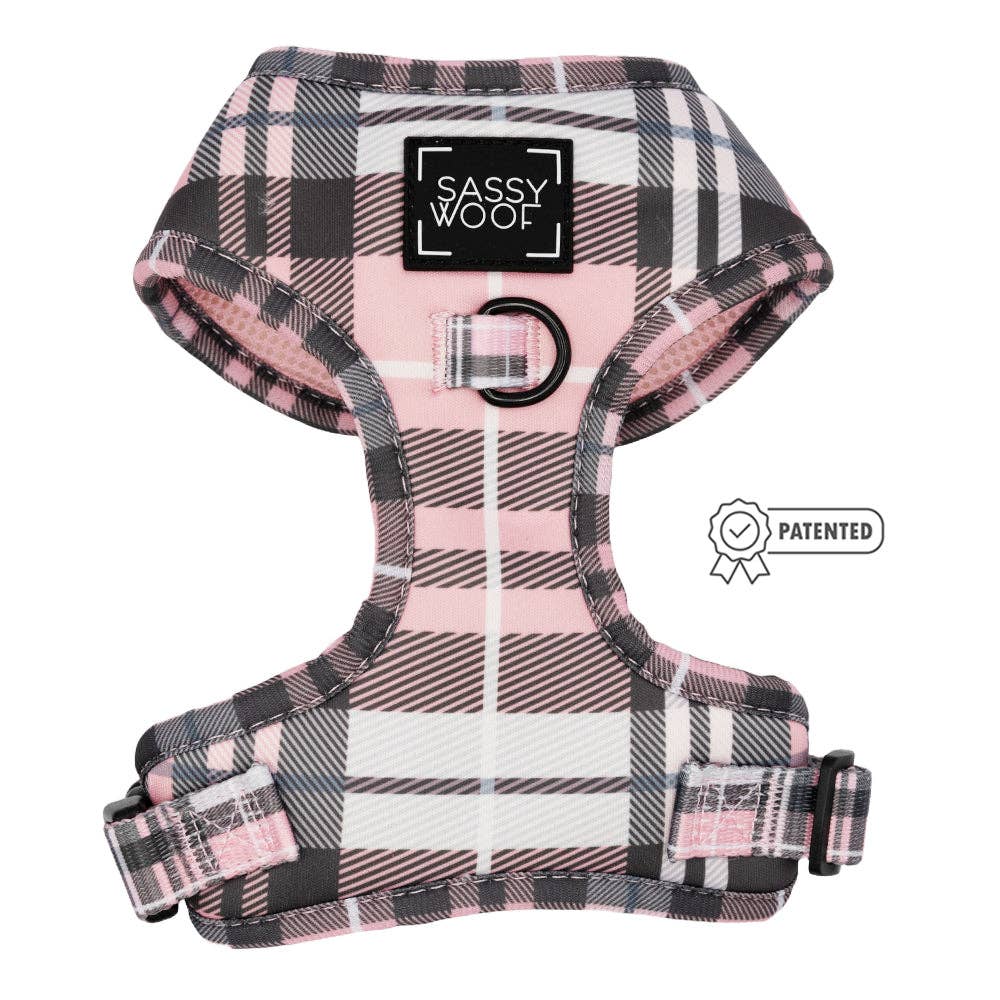 Pawberry Harness