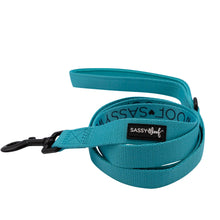 Load image into Gallery viewer, Neon Blue Leash
