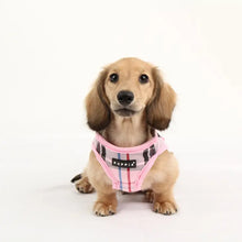 Load image into Gallery viewer, Pink Plaid Harness
