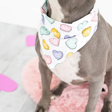 Load image into Gallery viewer, Conversation Hearts Dog Bandana
