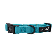 Load image into Gallery viewer, Dog Collar - Neon Blue
