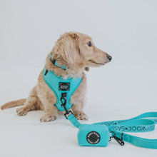 Load image into Gallery viewer, Neon Blue Leash
