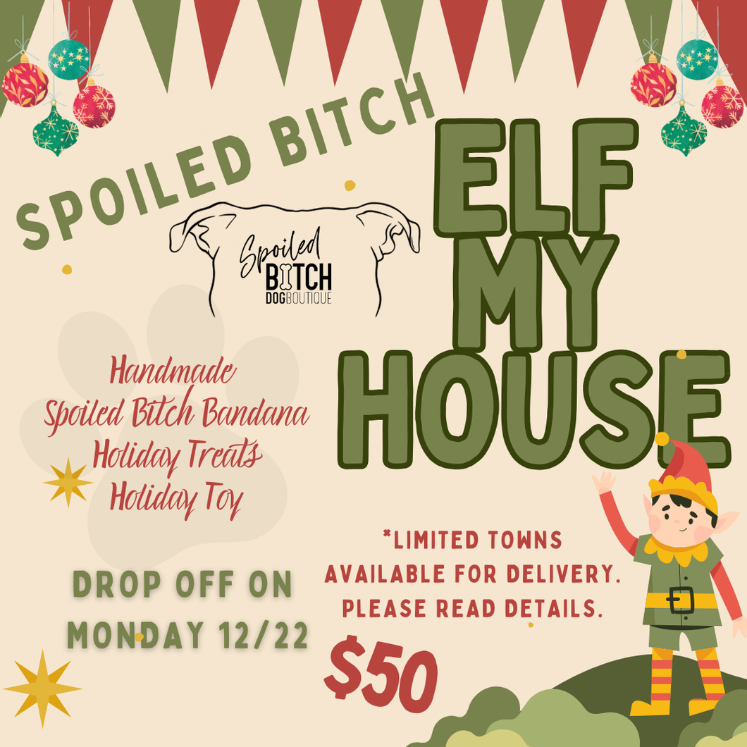 Elf My House!