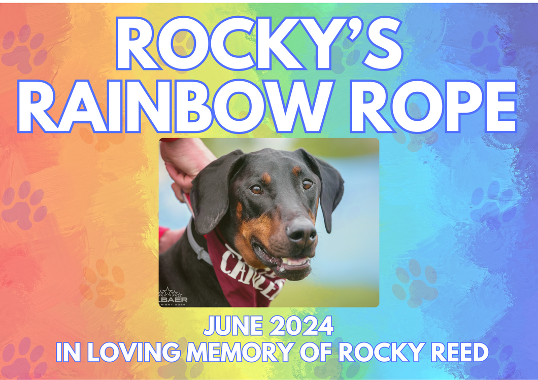 Rainbow Rope Memorial Collar
