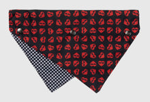 Load image into Gallery viewer, HeartBreaker Bandana

