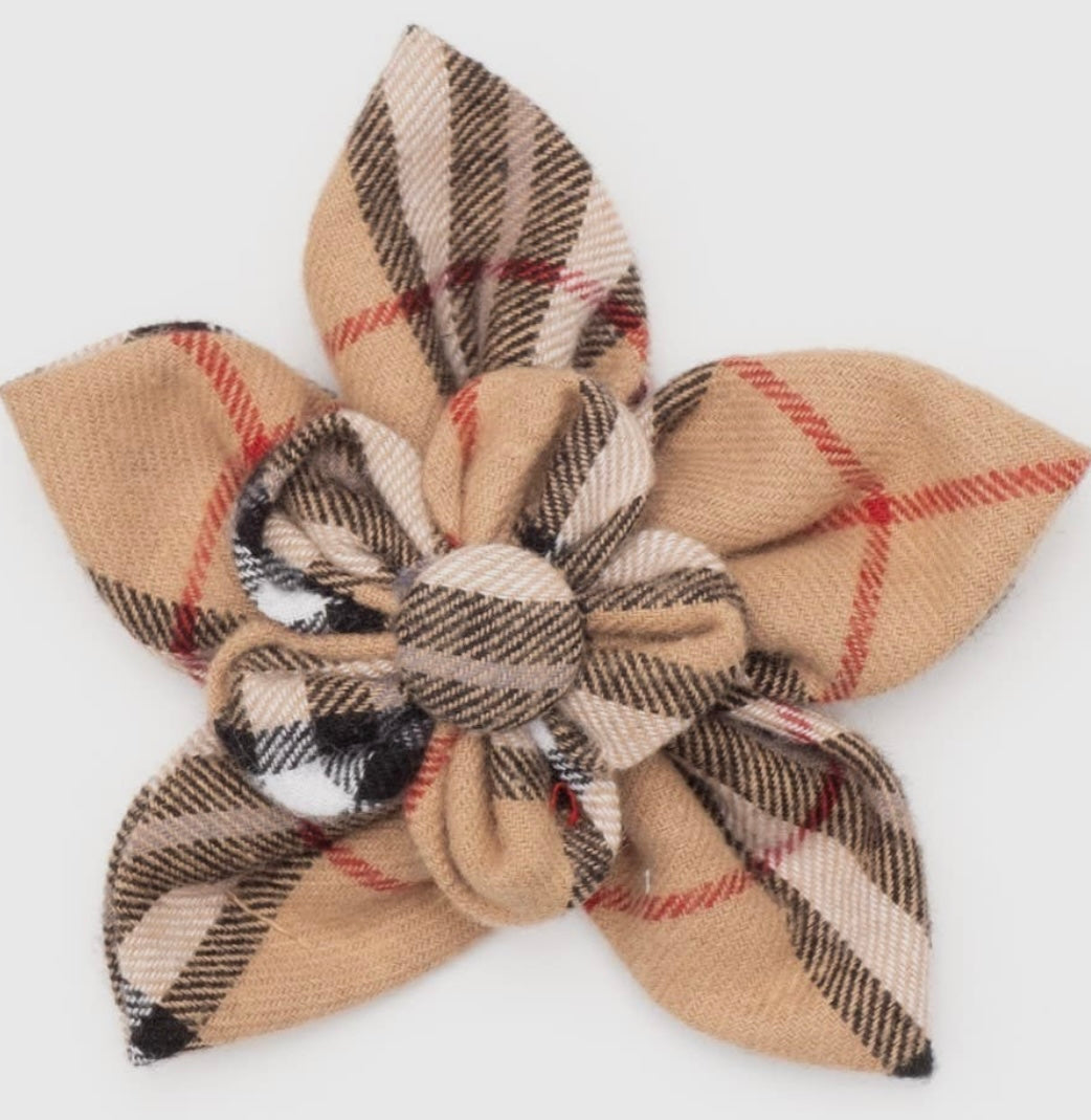 Tan Plaid Flower