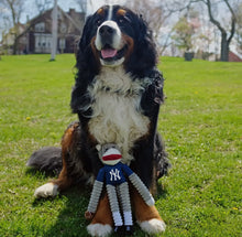 Load image into Gallery viewer, New York Yankees Monkey
