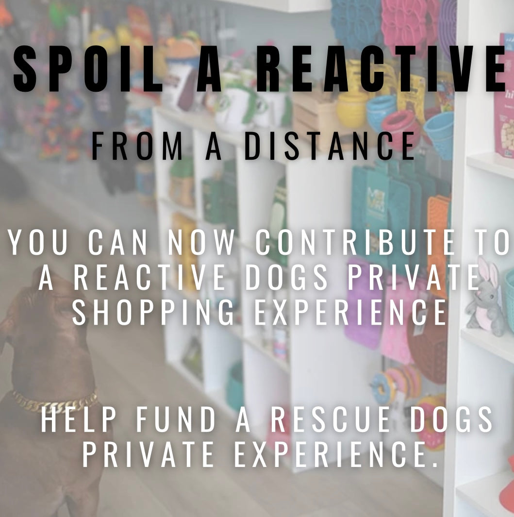 Spoil A Reactive Dog!