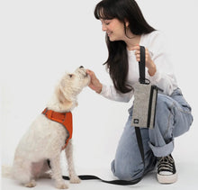 Load image into Gallery viewer, Cleverpup Porter Dog Gear Backpack
