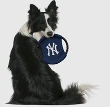 Load image into Gallery viewer, New York Yankees Disc
