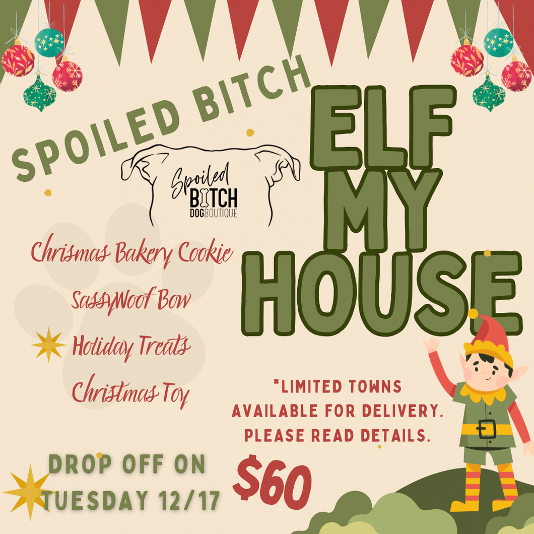 Elf My House!