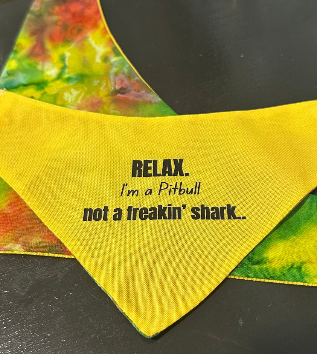 I'm a Pitbull not a Shark Bandana