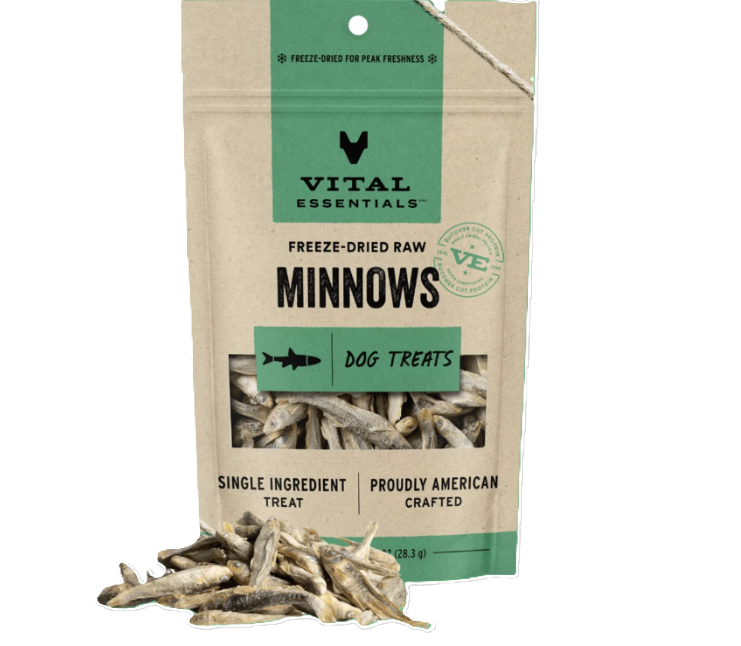 Minnows