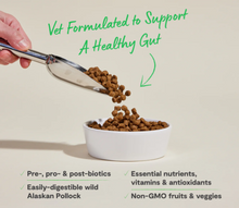 Load image into Gallery viewer, Open Farm Digestive Health Dry Food

