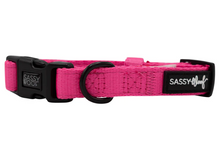 Load image into Gallery viewer, Neon Pink Collar
