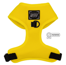 Load image into Gallery viewer, Neon Yellow Harness
