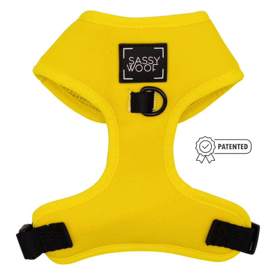 Neon Yellow Harness