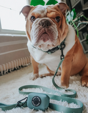Load image into Gallery viewer, Sage Leash
