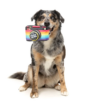 Load image into Gallery viewer, Spread Love Camera
