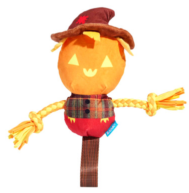 Jack Crow Lantern