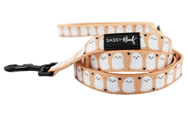 Squad Ghouls Leash