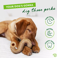 Load image into Gallery viewer, Benebone Tripe Bone
