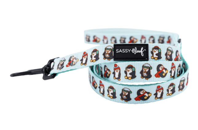 Winter Waddleland Leash