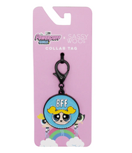Load image into Gallery viewer, Power Girls Dog Tags
