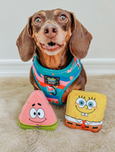 Load image into Gallery viewer, SpongeBob SquarePants
