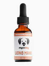 Load image into Gallery viewer, MycoDog  Lion's Mane
