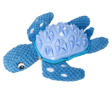 Load image into Gallery viewer, Titan the Turtle
