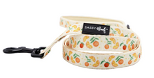 Load image into Gallery viewer, Simply the Zest Leash

