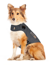 Load image into Gallery viewer, ThunderShirt Anxiety Relief
