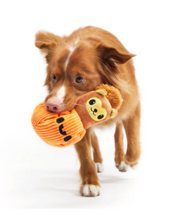 Load image into Gallery viewer, Squirrel O' Lantern
