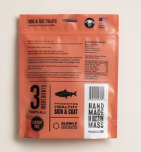 Load image into Gallery viewer, Salmon Says Bones
