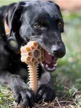 Load image into Gallery viewer, Honey Flower Tower Nylon Enrichment Toy
