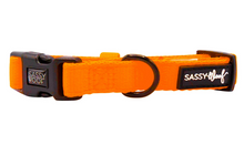 Load image into Gallery viewer, Neon Orange Collar
