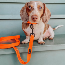 Load image into Gallery viewer, Neon Orange Collar
