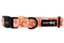Load image into Gallery viewer, Summer Sorbet Collar
