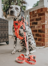 Load image into Gallery viewer, Summer Sorbet Collar
