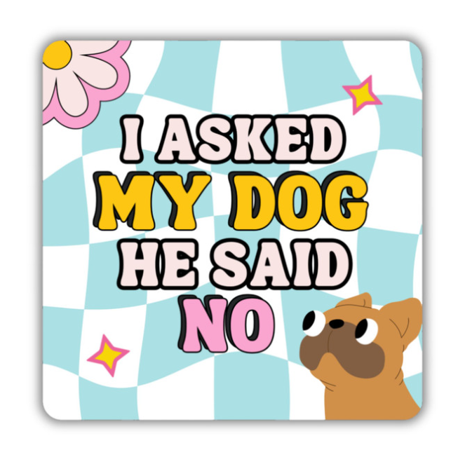I Asked My Dog