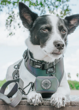 Load image into Gallery viewer, Reflective Collar
