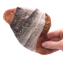 Load image into Gallery viewer, Fish Ear
