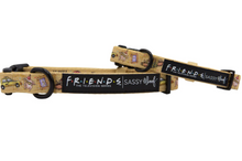 Load image into Gallery viewer, Friends Collar
