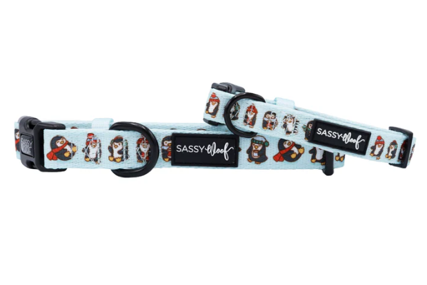 Winter Waddleland Collar