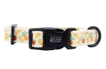 Load image into Gallery viewer, Simply the Zest Collar
